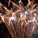 Firework Display