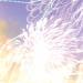 Firework Display