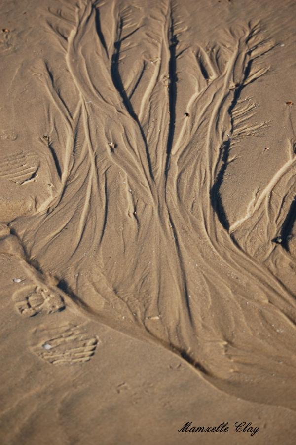 Sand Tree