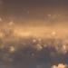 Sky85