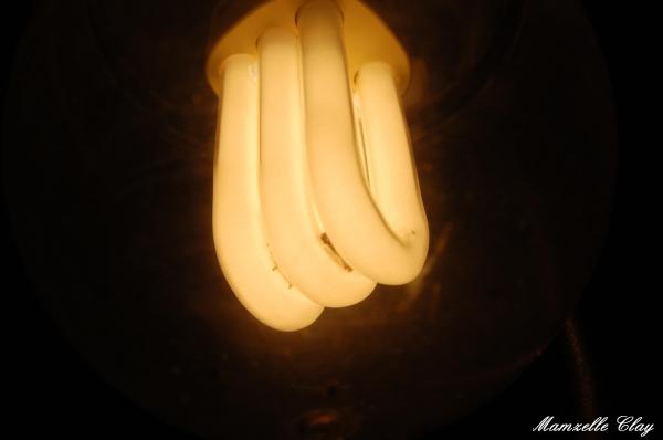 Light