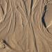 Sand Tree