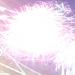 Firework Display